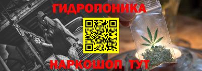 соль ск Кингисепп