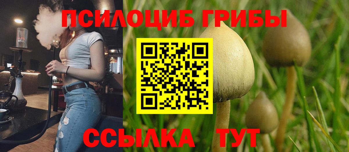 Галлюциногенные грибы MAGIC MUSHROOMS  Вход с VPN  Южноуральск 